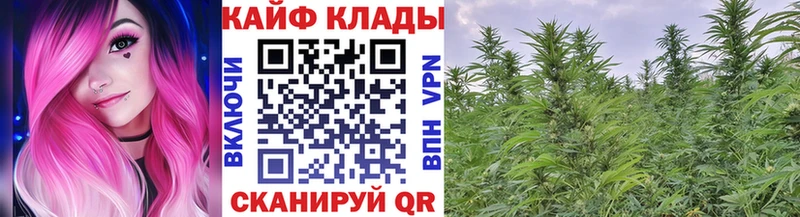 Купить закладку ГАШИШ  Каннабис  Меф мяу мяу  Пугачёв