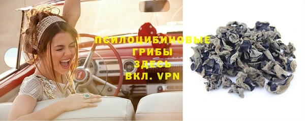 крисы Саяногорск