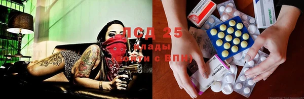 шишки Семёнов