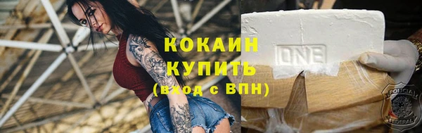 шишки Семёнов