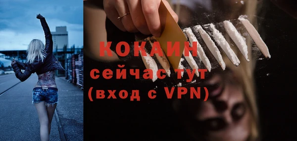 шишки Семёнов
